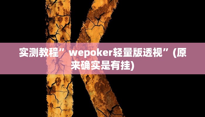 实测教程”wepoker轻量版透视”(原来确实是有挂)