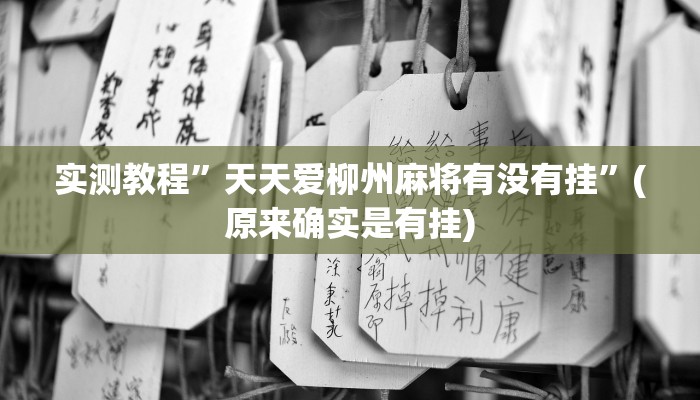 实测教程”天天爱柳州麻将有没有挂”(原来确实是有挂)