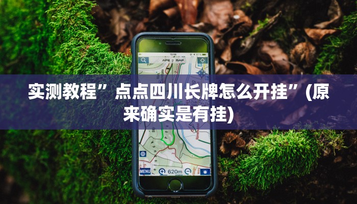 实测教程”点点四川长牌怎么开挂”(原来确实是有挂)