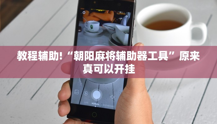 教程辅助!“(wepoker)德州透视挂作弊辅助方法”其实确实有挂
