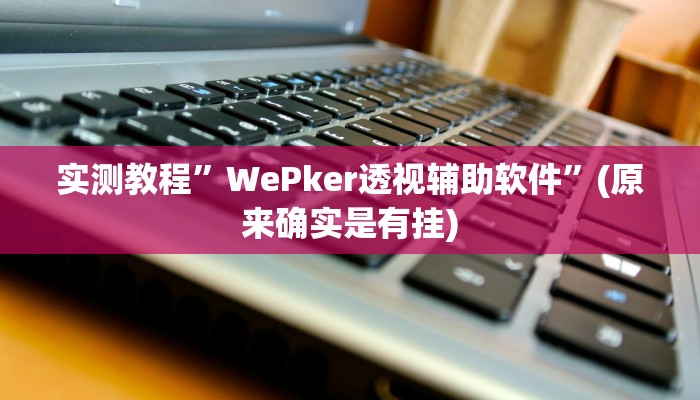 实测教程”WePker透视辅助软件”(原来确实是有挂)