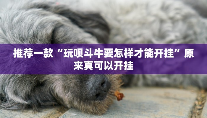 推荐一款“玩呗斗牛要怎样才能开挂”原来真可以开挂