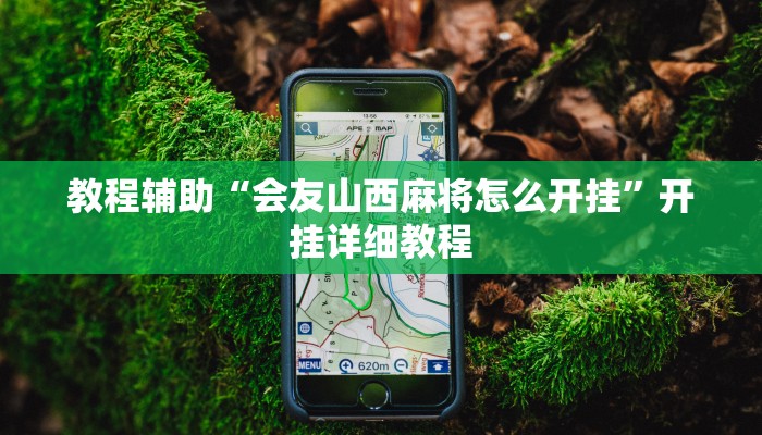 教程辅助“会友山西麻将怎么开挂”开挂详细教程