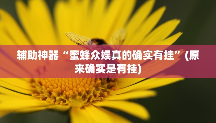 辅助神器“蜜蜂众娱真的确实有挂”(原来确实是有挂)
