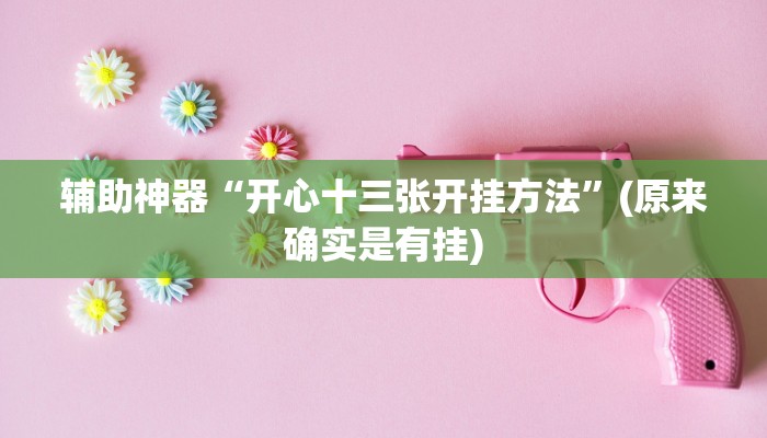 辅助神器“开心十三张开挂方法”(原来确实是有挂)