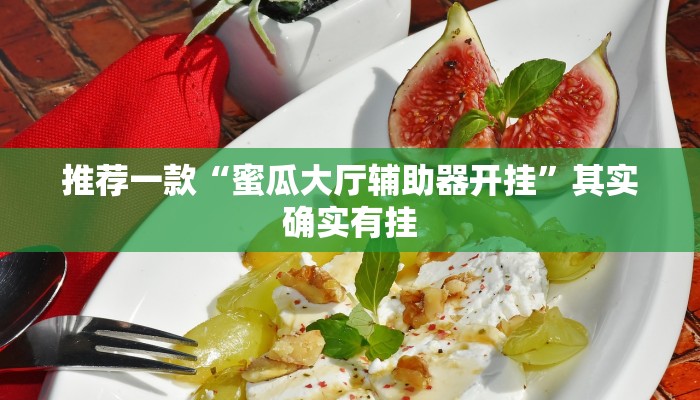 推荐一款“蜜瓜大厅辅助器开挂”其实确实有挂