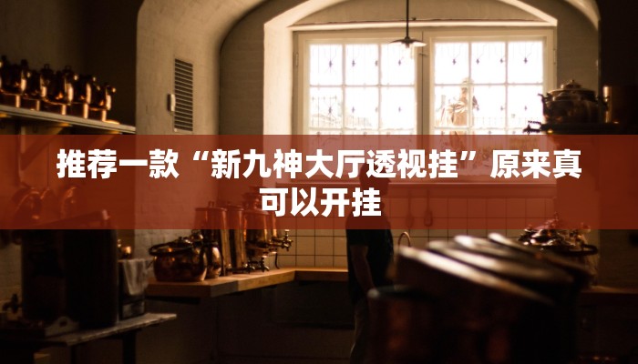 推荐一款“新九神大厅透视挂”原来真可以开挂