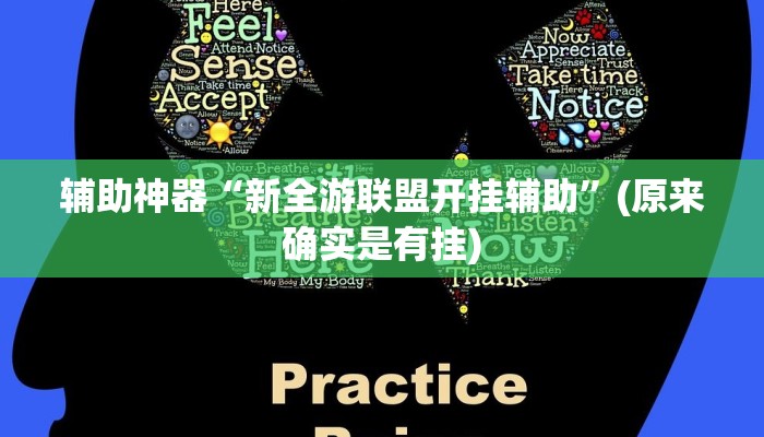 辅助神器“新全游联盟开挂辅助”(原来确实是有挂)