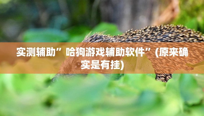 实测辅助”哈狗游戏辅助软件”(原来确实是有挂)