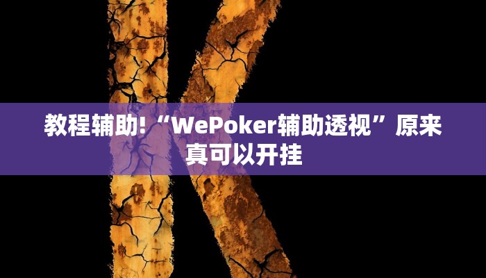 教程辅助!“WePoker辅助透视”原来真可以开挂