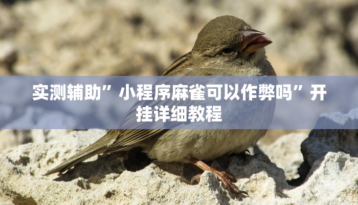 实测辅助”小程序麻雀可以作弊吗”开挂详细教程