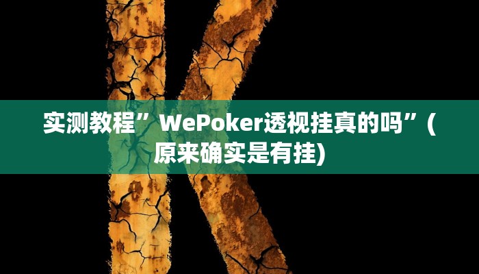 实测教程”WePoker透视挂真的吗”(原来确实是有挂)