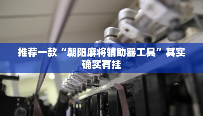 推荐一款“朝阳麻将辅助器工具”其实确实有挂