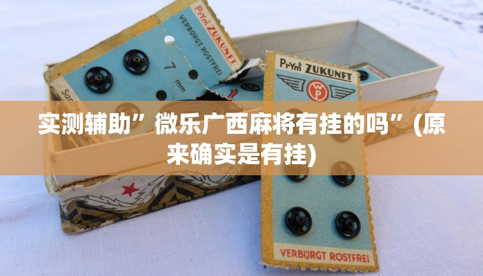 实测辅助”微乐广西麻将有挂的吗”(原来确实是有挂)