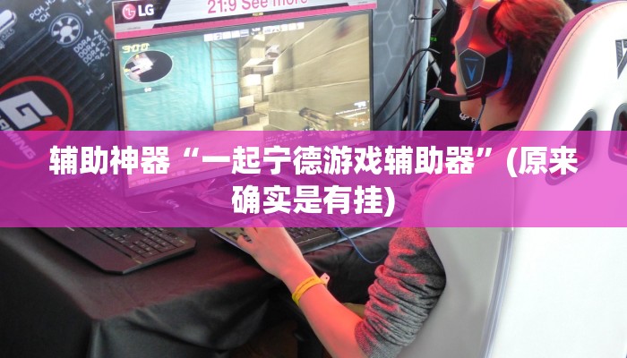 辅助神器“一起宁德游戏辅助器”(原来确实是有挂)