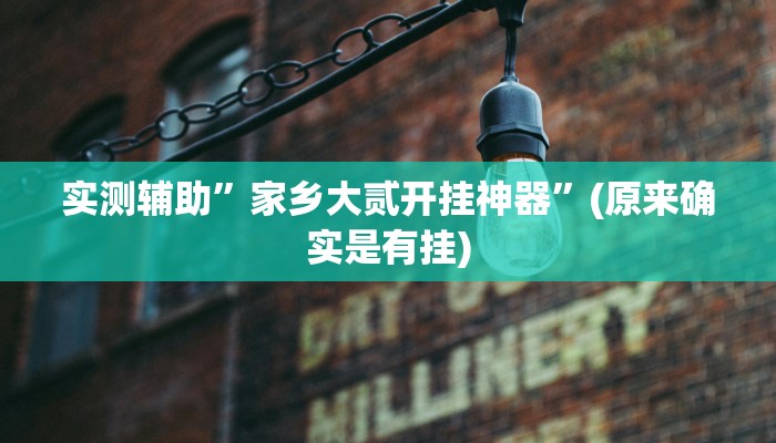 实测辅助”家乡大贰开挂神器”(原来确实是有挂)