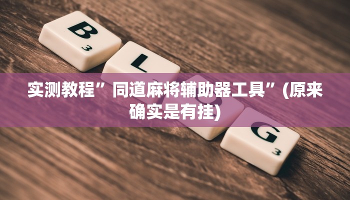 实测教程”同道麻将辅助器工具”(原来确实是有挂)