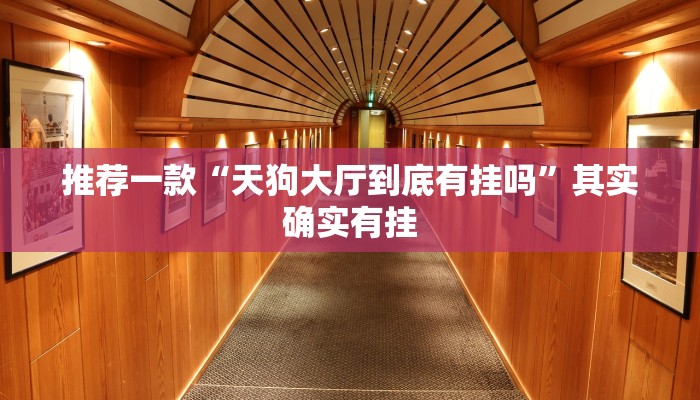 推荐一款“天狗大厅到底有挂吗”其实确实有挂