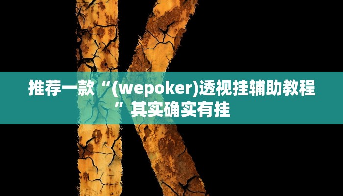 推荐一款“(wepoker)透视挂辅助教程”其实确实有挂