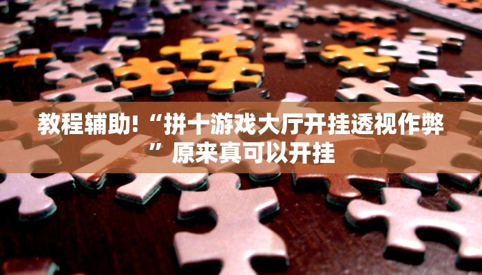 教程辅助!“拼十游戏大厅开挂透视作弊”原来真可以开挂