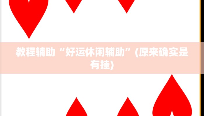 教程辅助“好运休闲辅助”(原来确实是有挂)