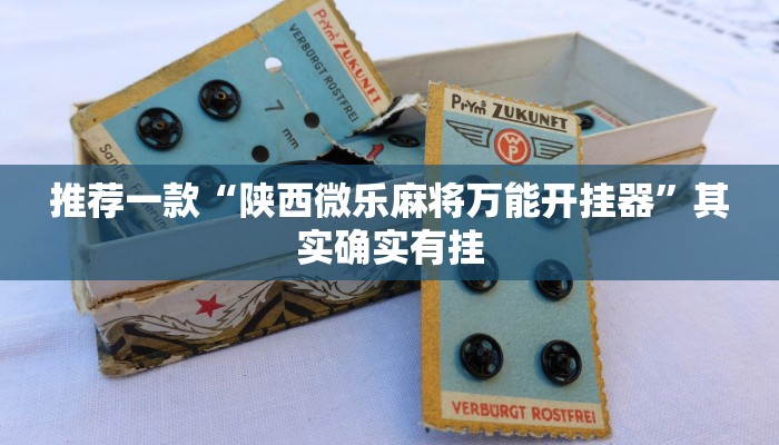 推荐一款“陕西微乐麻将万能开挂器”其实确实有挂
