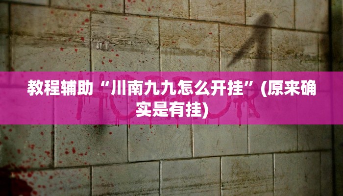 教程辅助“川南九九怎么开挂”(原来确实是有挂)