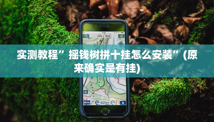 实测教程”摇钱树拼十挂怎么安装”(原来确实是有挂)