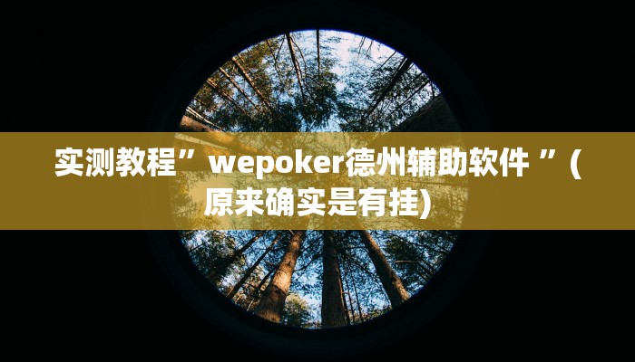 实测教程”wepoker德州辅助软件 ”(原来确实是有挂)