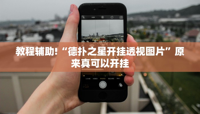 教程辅助!“德扑之星开挂透视图片”原来真可以开挂