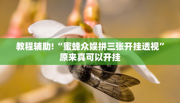教程辅助!“蜜蜂众娱拼三张开挂透视”原来真可以开挂