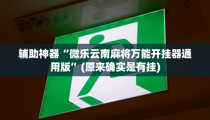 辅助神器“微乐云南麻将万能开挂器通用版”(原来确实是有挂)