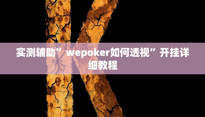 实测辅助”wepoker如何透视”开挂详细教程