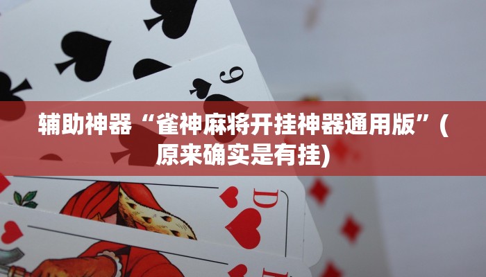 辅助神器“雀神麻将开挂神器通用版”(原来确实是有挂)