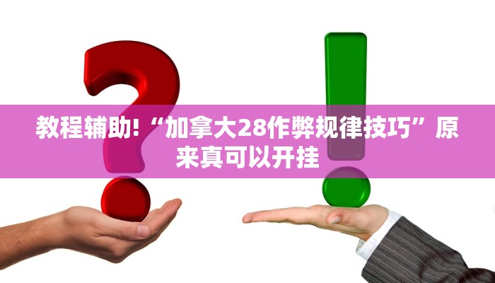 教程辅助!“加拿大28作弊规律技巧”原来真可以开挂