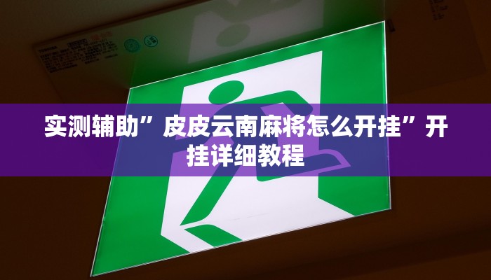 实测辅助”皮皮云南麻将怎么开挂”开挂详细教程