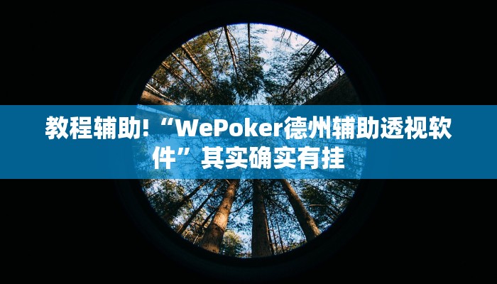 教程辅助!“WePoker德州辅助透视软件”其实确实有挂