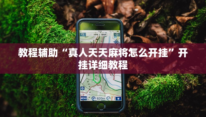 教程辅助“真人天天麻将怎么开挂”开挂详细教程