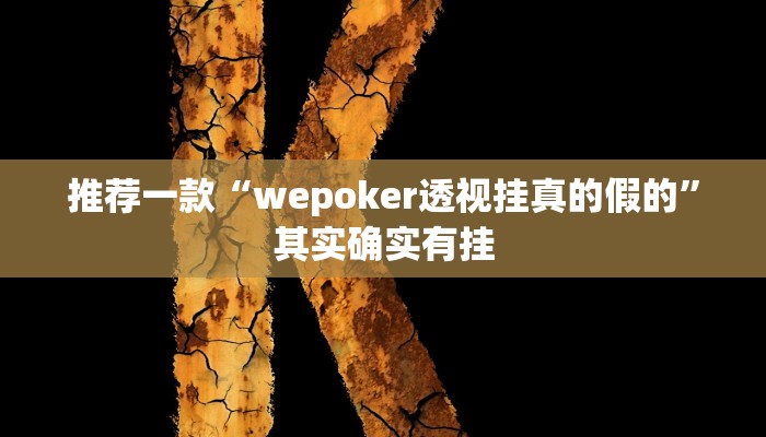 推荐一款“wepoker透视挂真的假的”其实确实有挂