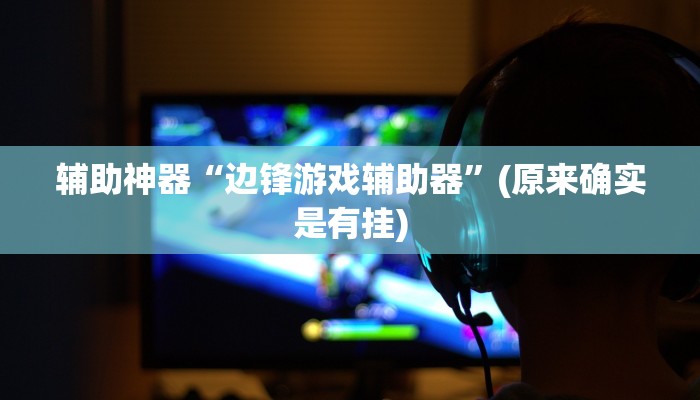 辅助神器“边锋游戏辅助器”(原来确实是有挂)