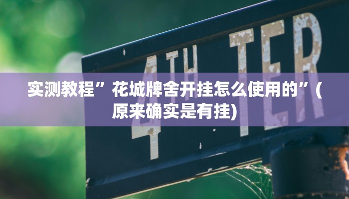 实测教程”花城牌舍开挂怎么使用的”(原来确实是有挂)