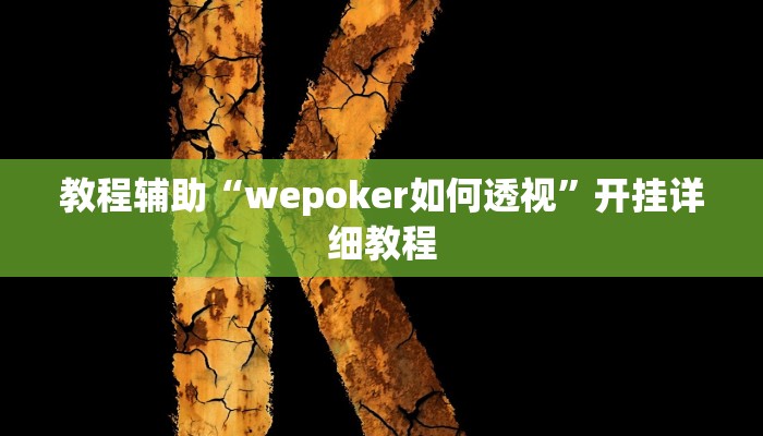 教程辅助“wepoker如何透视”开挂详细教程