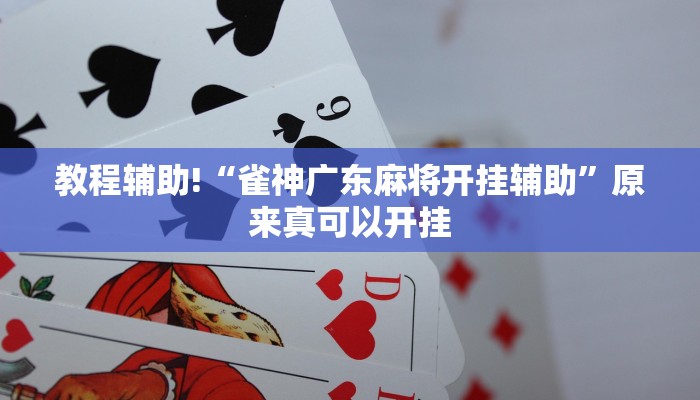 教程辅助!“雀神广东麻将开挂辅助”原来真可以开挂