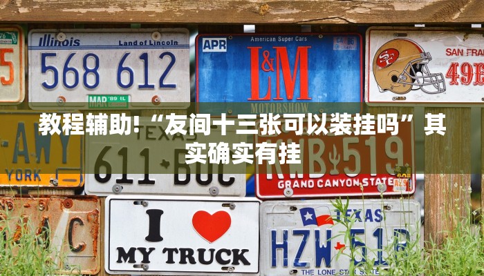 教程辅助!“友间十三张可以装挂吗”其实确实有挂