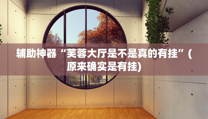 辅助神器“芙蓉大厅是不是真的有挂”(原来确实是有挂)