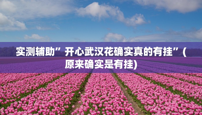 实测辅助”开心武汉花确实真的有挂”(原来确实是有挂)