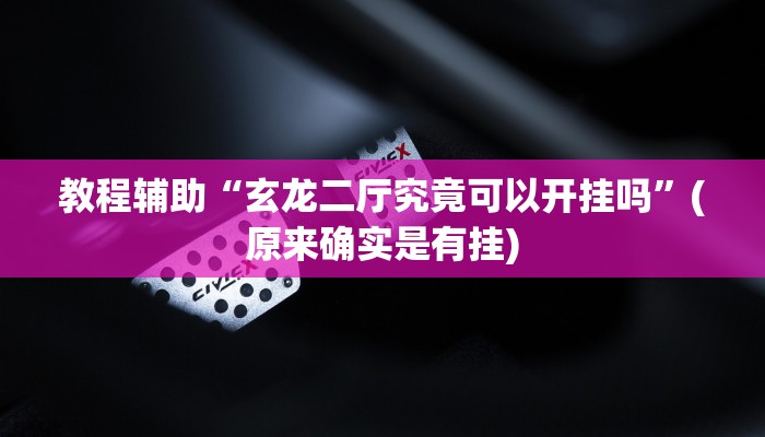 教程辅助“玄龙二厅究竟可以开挂吗”(原来确实是有挂)