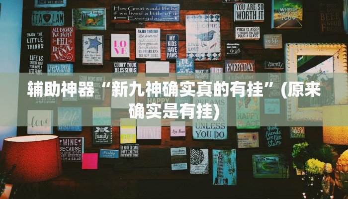 辅助神器“新九神确实真的有挂”(原来确实是有挂)