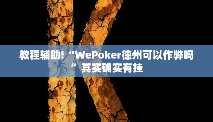 教程辅助!“WePoker德州可以作弊吗”其实确实有挂