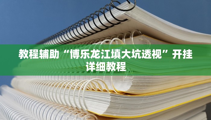 教程辅助“博乐龙江填大坑透视”开挂详细教程